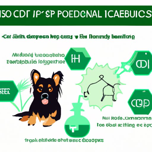 VII. Exploring the Use of CBD for Dogs: An Overview of Its Potential Effects
