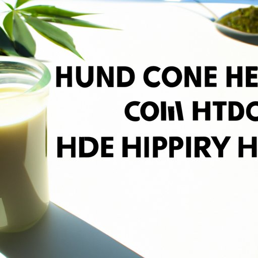 Everything You Need to Know about Hemp Milk and CBD Content