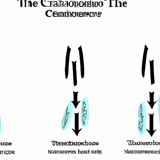 The Vanishing Act: A Guide to the Three Phases of Chromosome Condensation