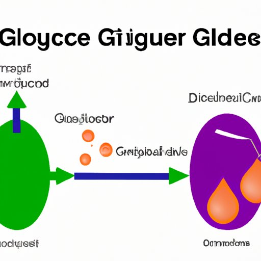 Breaking Down Glucose: A Look at The Intracellular Location of Glycolysis