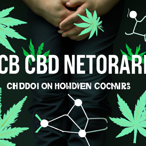 Unlocking the Secrets of CBD: Understanding Its Effects on the Body and Mind