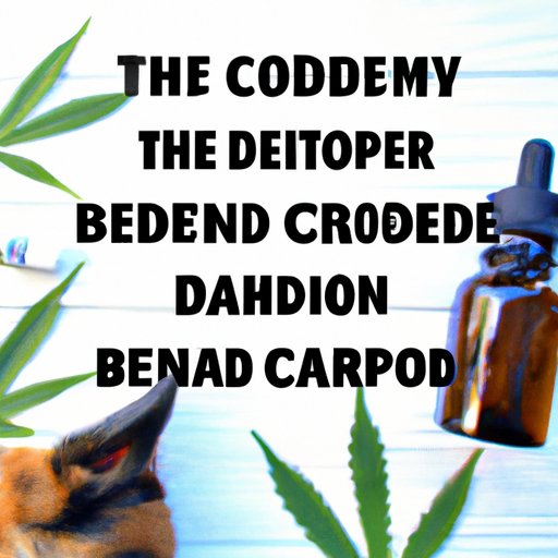 The Benefits of CBD as a Natural Option for Dog Owners