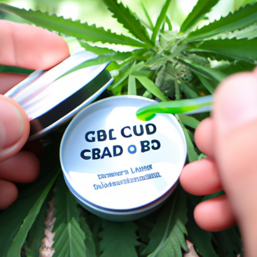 How to use CBD salve effectively