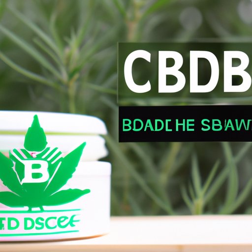 CBD salve and the endocannabinoid system