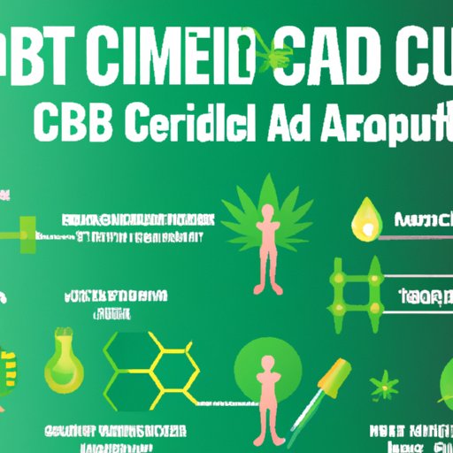 Breaking Down the Benefits: How CBD Interacts with Your Body for Improved Health
