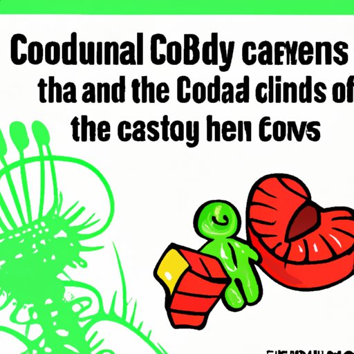 II. The Science Behind CBD Gummies: Understanding How They Work in Your Body