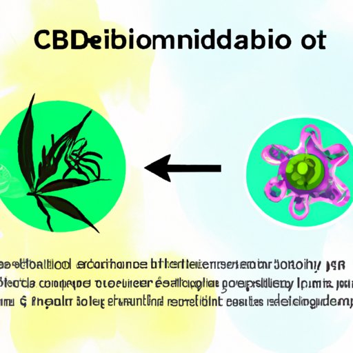 IV. The Role of Metabolism in CBD Flower Absorption and Elimination: What You Need to Know