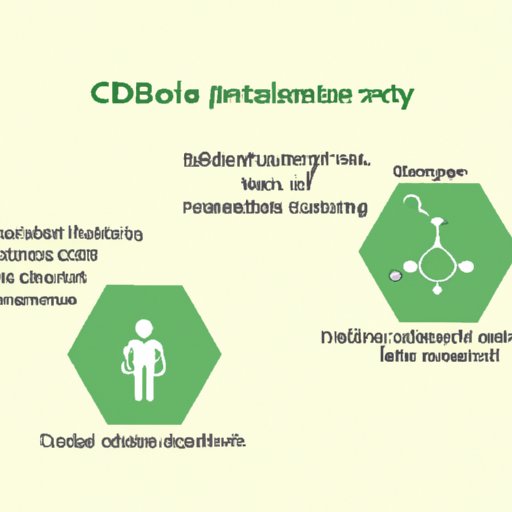 Personal Factors That Influence CBD Metabolism