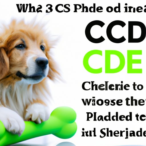 V. The Benefits of CBD for Dogs: Understanding the Length of its Effects
