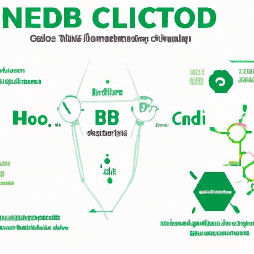 II. Science of CBD Oil Metabolism: