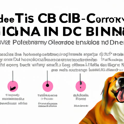 II. The Science Behind CBD: Understanding How Long It Takes to Work for Dogs