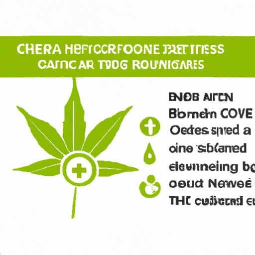 Maximizing the Benefits: Factors Affecting CBD Duration in Dogs