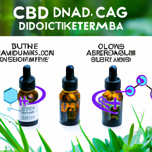 The Science Behind CBD Work in Dogs: Exploring Effects and Duration