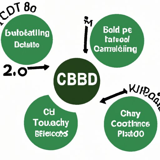 Breaking it Down: Factors that Influence the Time it Takes for CBD Oil to Work