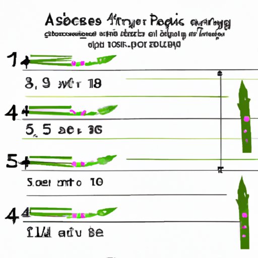 VIII. The Science of Asparagus: How to Calculate the Best Baking Time at 400 Degrees