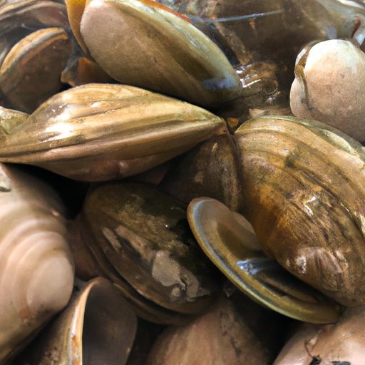 Clams Casino 101: How Long to Bake for Maximum Flavor