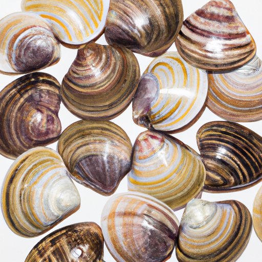 The Clams Casino Dilemma: How to Achieve the Ideal Bake Time