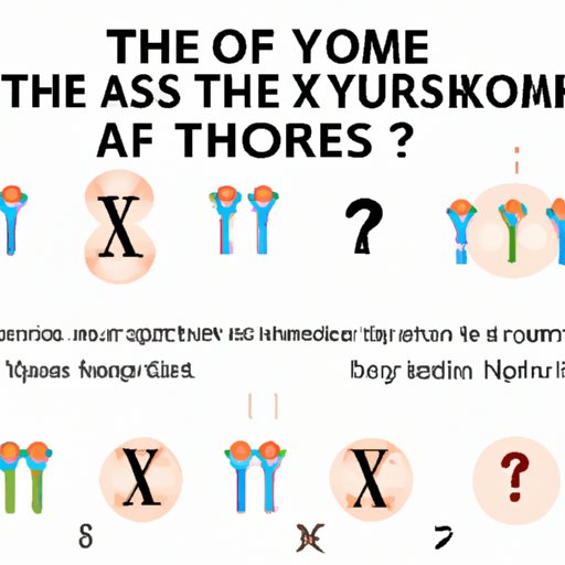 VII. Chromosomes and You: What You Need to Know About Your Own Genetic Makeup