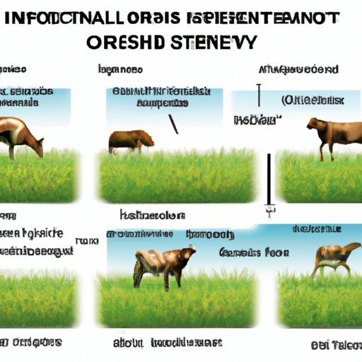 III. Pros and Cons of Intensive Grazing Systems