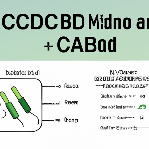 A Comprehensive Guide to CBD Dosage: Decoding 1 ml to mg Ratio