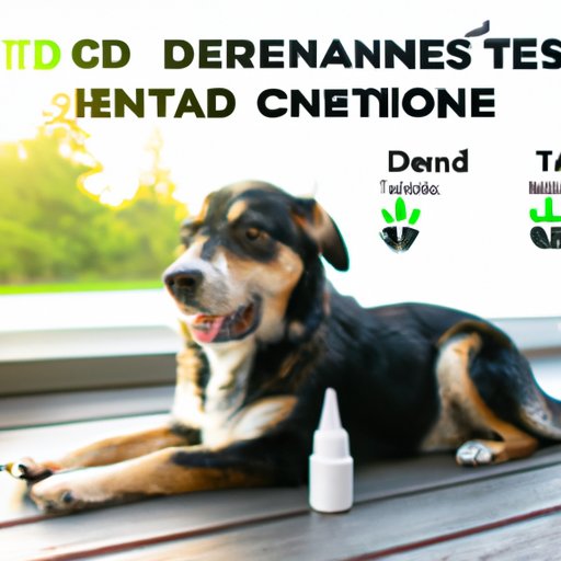 Canine CBD Dosage: What You Need to Know Before Administering