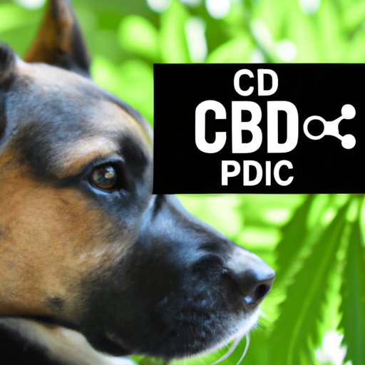 The Ultimate Guide to CBD Dosage for Dogs