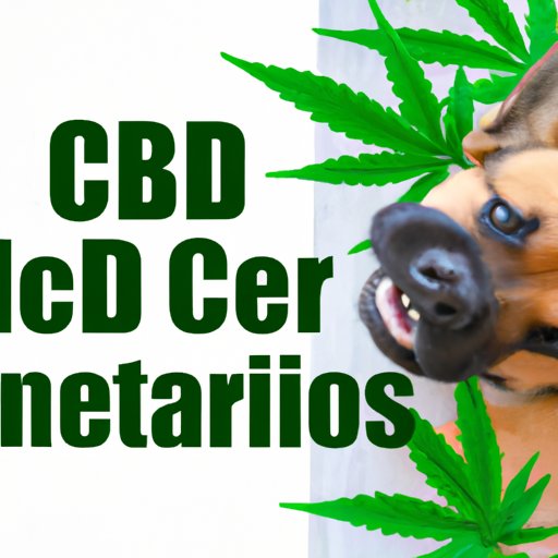 Maximizing the Benefits of CBD for Dogs Without Overdoing It