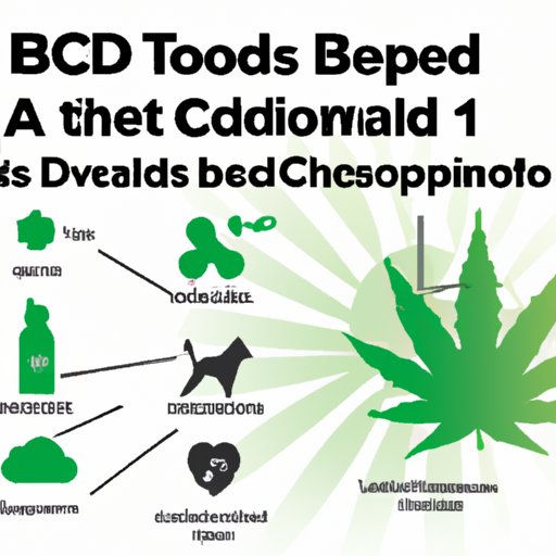 A Comprehensive Guide to CBD Dosage for Dogs