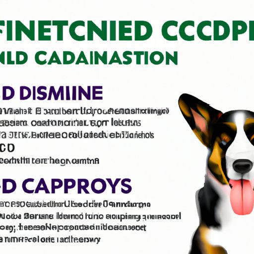 VII. Why CBD is a Viable Solution for Anxiety in Dogs: Optimal Dose Recommendations
