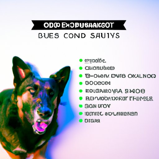 II. Benefits of CBD for Dogs with Anxiety: Dosage Guide