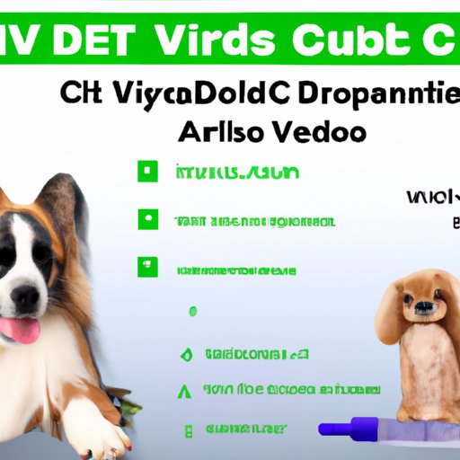 VI. A Guide to Determining The Right CBD Dosage for Your Pet