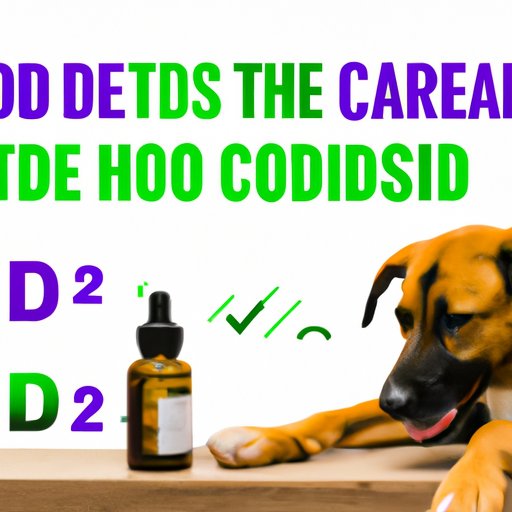 How to Calculate the Right CBD Dosage for Your Dog
