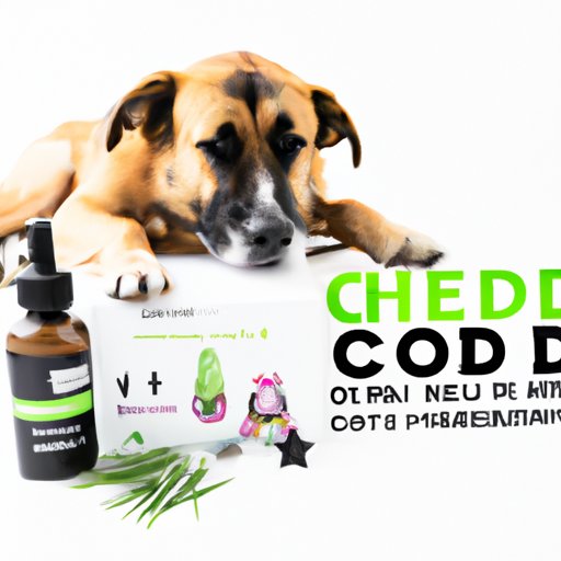 Top CBD Products for Dogs