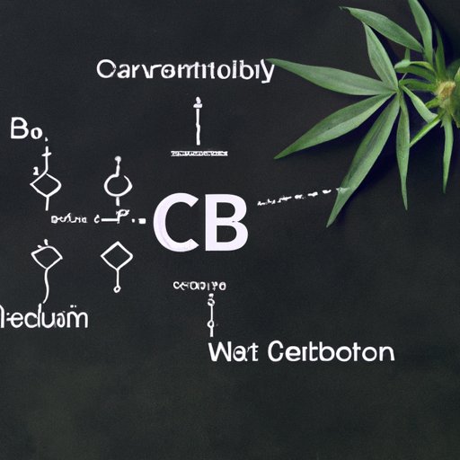 The Importance of Knowing the CBD Content in a Joint for Medical Users