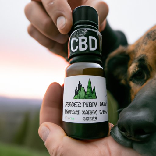 How to Train your Aggressive Dog with CBD Oil: Tips from Experienced Pet Owners