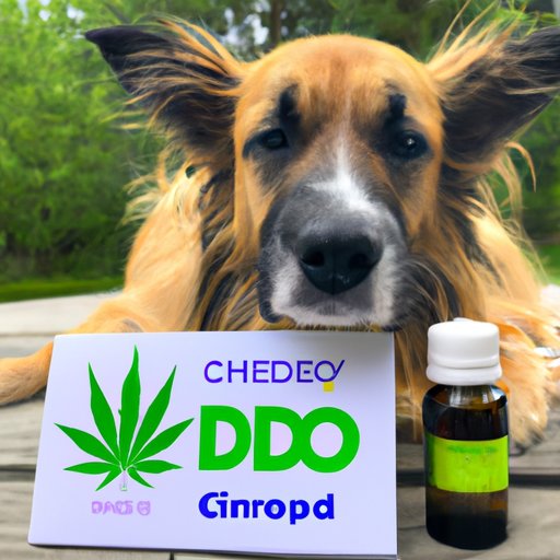 CBD Oil Dosage for Dogs: A Success Story