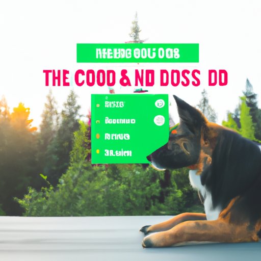Understanding CBD Oil Dosage: How to Choose the Right Dosage for Your Dog