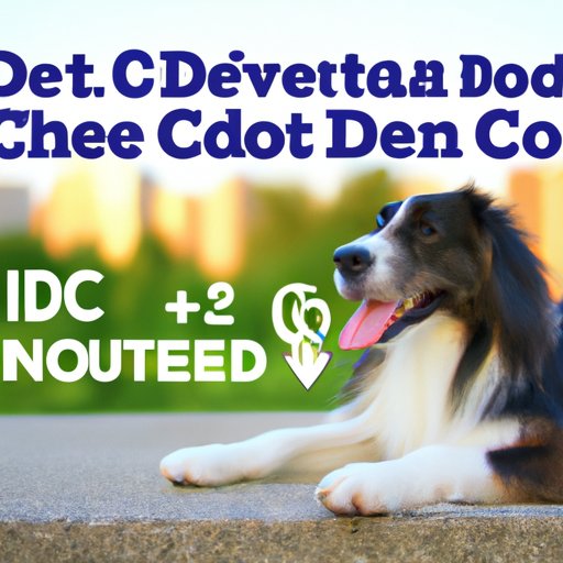 Dosage Guidelines: Understanding the Factors When Giving CBD to Dogs