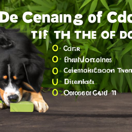 Finding the Right Strength: A Guide to Calculating Proper CBD Doses for Dogs