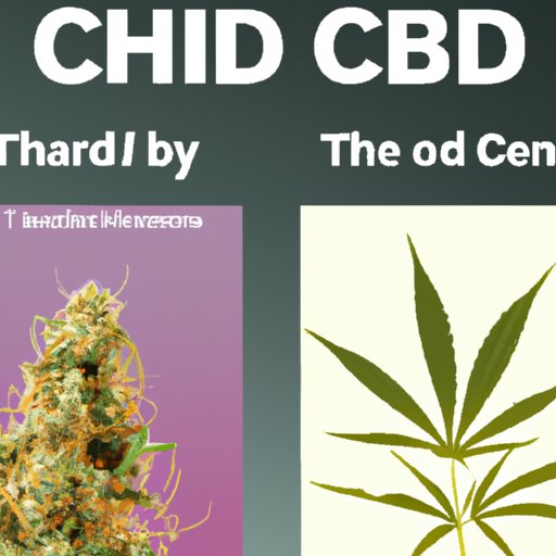 THC and CBD: Understanding the Differences in Potency