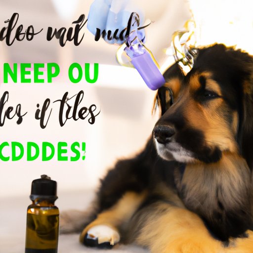 Common Mistakes to Avoid When Giving Your Dog CBD Oil