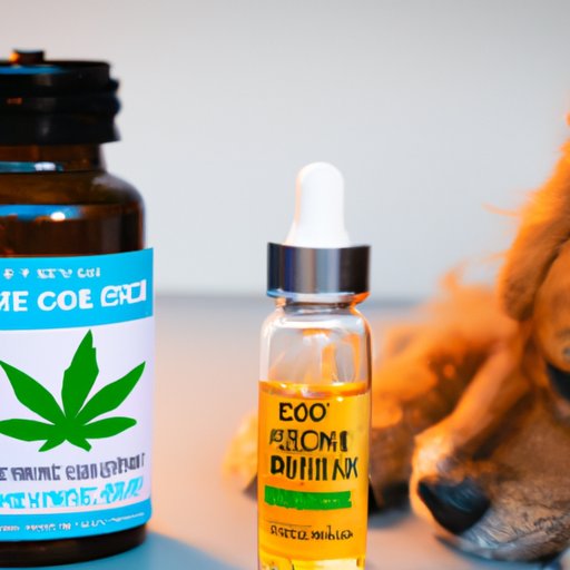 Finding the Right Dosage of CBD for Your Furry Friend