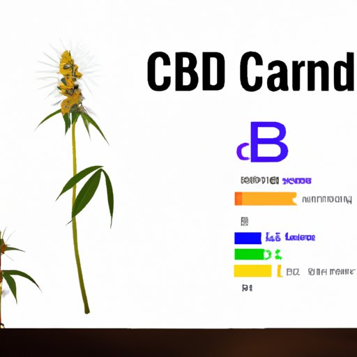  Exploring the Science Behind CBD and Age Restrictions 