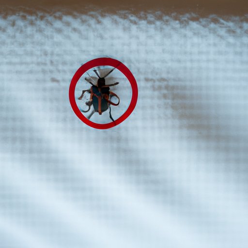 The Top Signs of Bed Bugs You Can Detect in Daylight