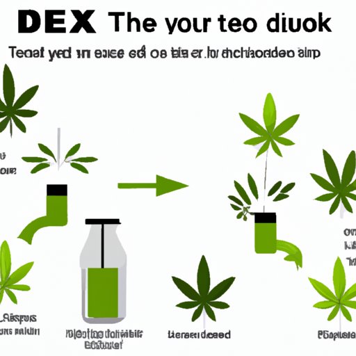 II. Natural Ways to Detox Your System from Weed: Tried and Tested Methods