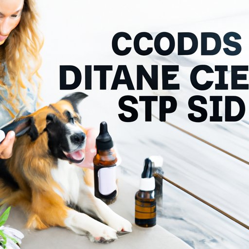 Safely Giving CBD Oil to Your Dog: Tips and Tricks Every Pet Owner Should Know