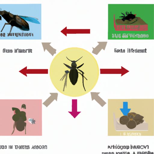 VI. Pest and disease management