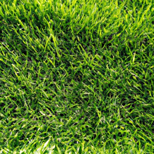 Green and Healthy: How to Grow Grass Like a Pro
