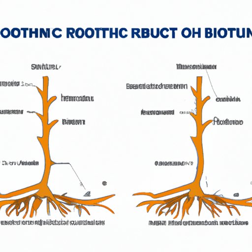 II. Understand the Root Cause of the Digging Behavior