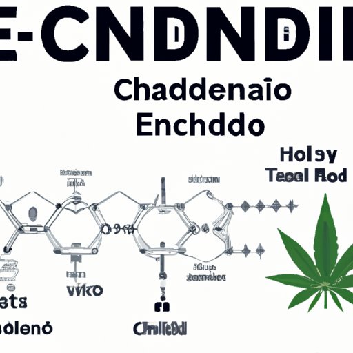 Chemical Composition and the Endocannabinoid System
